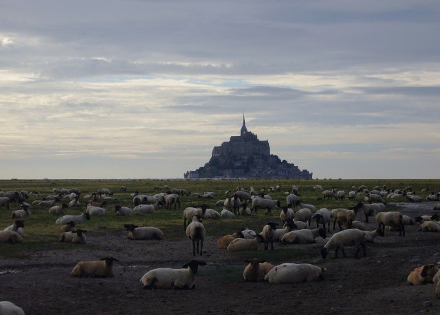 mont-st-michel-66910_1920.jpg